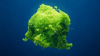 Aerial video of a green island used as an animated live wallpaper